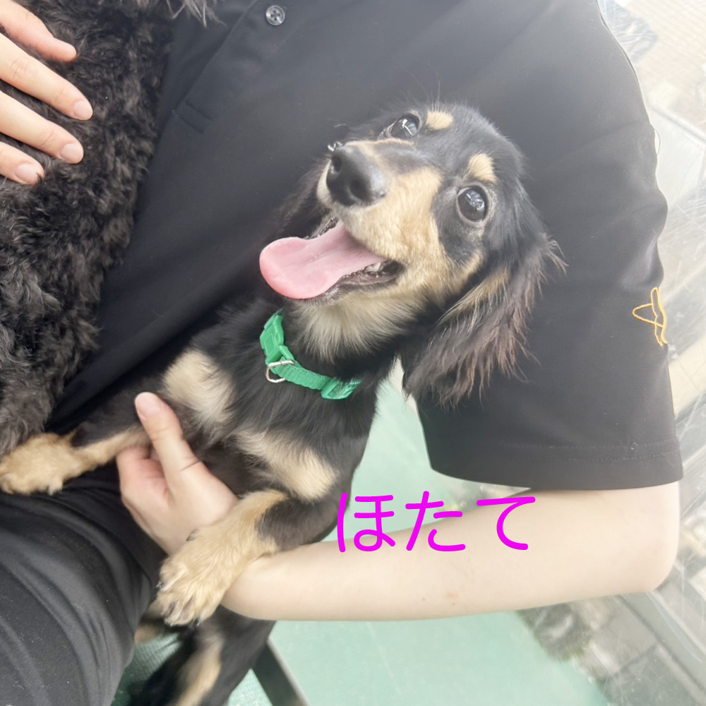 生徒が撮影してくれた写真☆